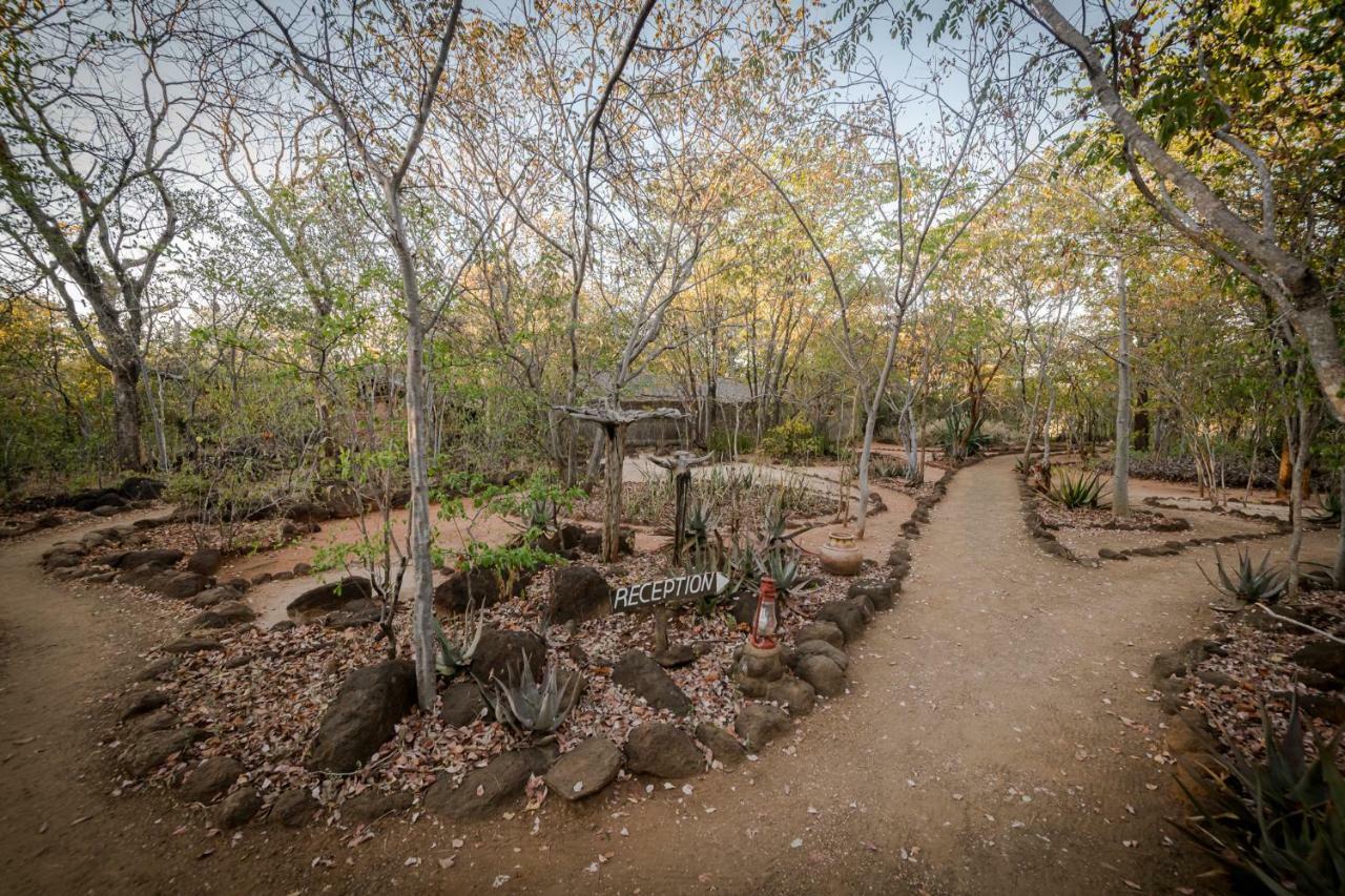 Taita Falcon Lodge Mukuni Ngoại thất bức ảnh